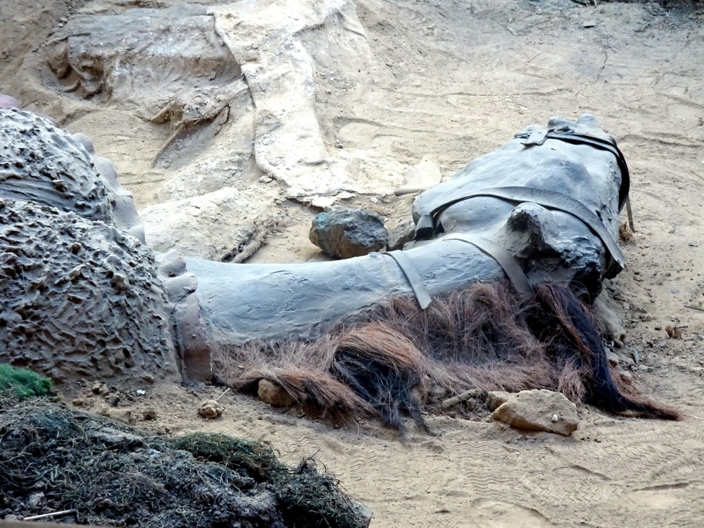 Statue of a dead horse at the Upper Floor of the Panorama of the Battle of Waterloo building