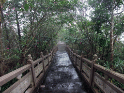 Staircase from the upper platform of the Yuchan Palace at the Hainan Wenbifeng Taoism Park