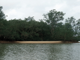 Beach and mangrove trees at Bamenwan Bay, viewed from the tour boat