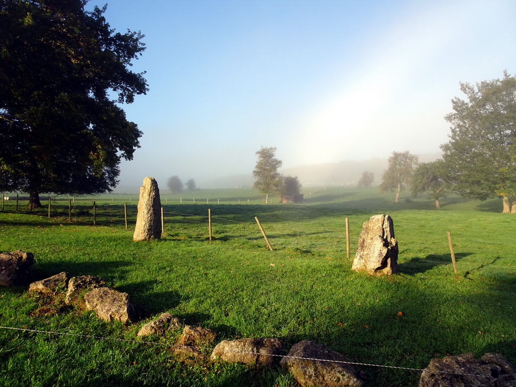 Menhirs next to the Dolmen of Wéris