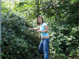 Miaomiao picking berries at the town center