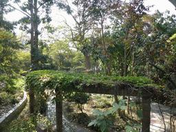 Trees and plants at the Qinyuan Garden at Gulangyu Island
