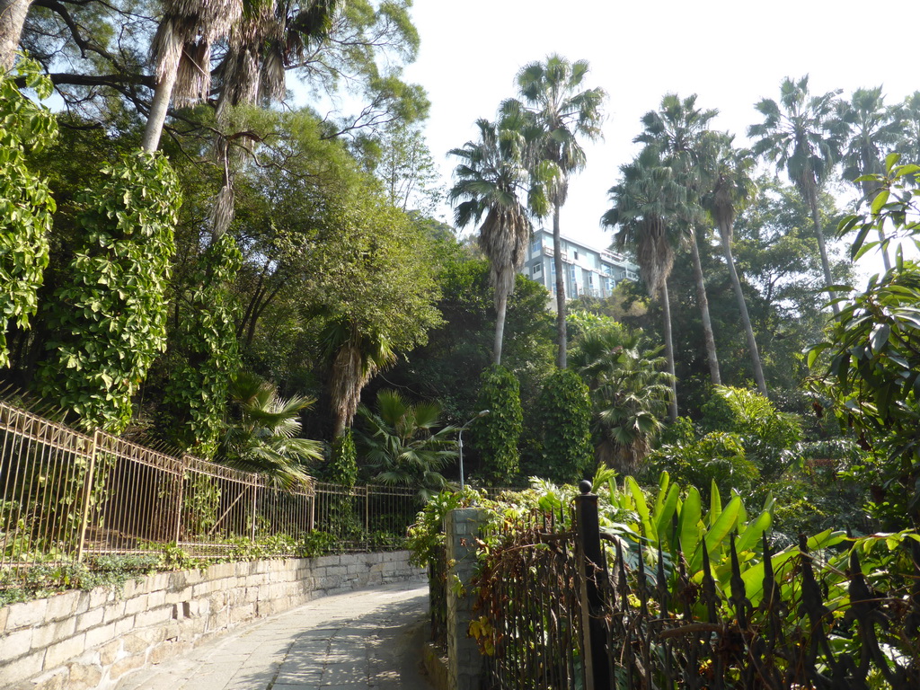 Jishan Road at Gulangyu Island