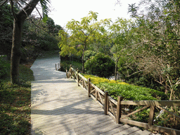 Path at the Qinyuan Garden at Gulangyu Island