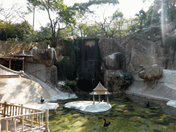 Waterfall, pool and birds at the Aviary at Gulangyu Island