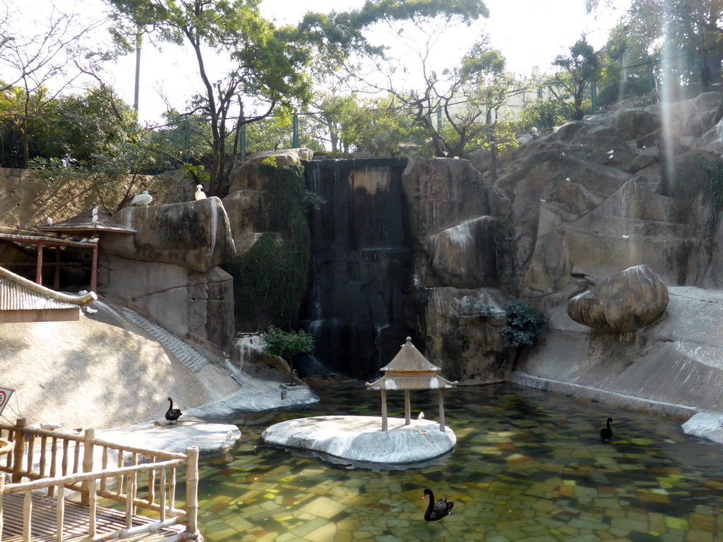 Waterfall, pool and birds at the Aviary at Gulangyu Island
