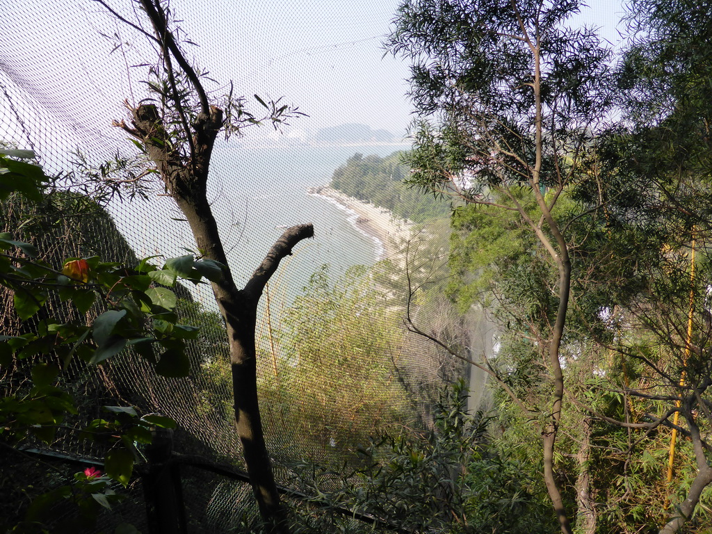View from the Aviary on the beach at the west side of Gulangyu Island