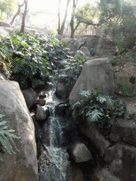 Waterfall at the Aviary at Gulangyu Island