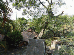 Small wooden houses and trees at the Aviary at Gulangyu Island