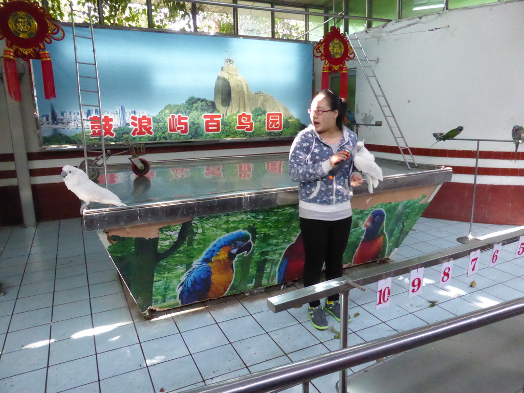 Bird trainer and two White Cockatoos during the bird show at the Aviary at Gulangyu Island