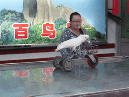 Bird trainer and a White Cockatoo on a bike during the bird show at the Aviary at Gulangyu Island