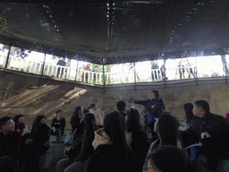 Bird retrieving a bank note from the audience during the bird show at the Aviary at Gulangyu Island