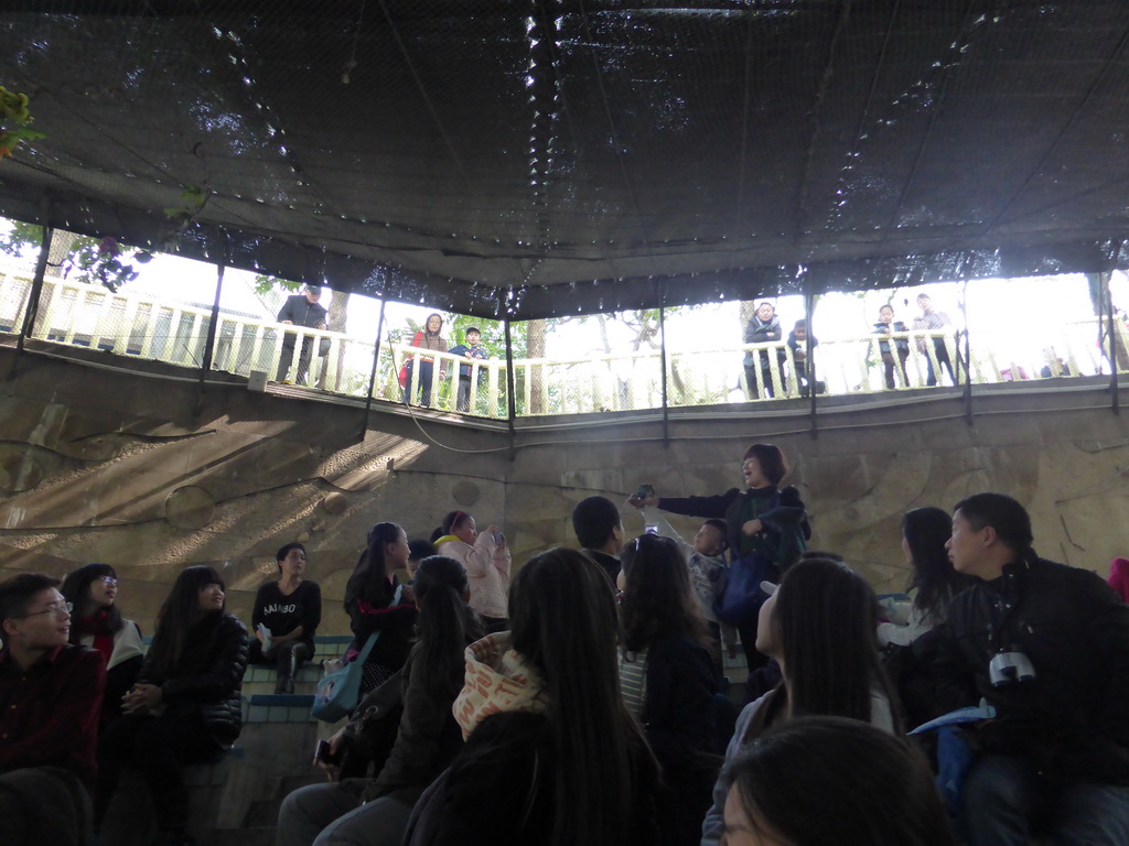 Bird retrieving a bank note from the audience during the bird show at the Aviary at Gulangyu Island