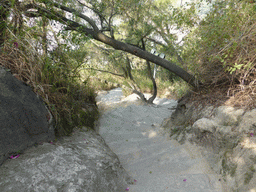 Path at the Qinyuan Garden