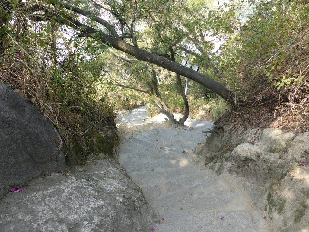 Path at the Qinyuan Garden