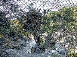 The Aviary at Gulangyu Island, viewed from outside