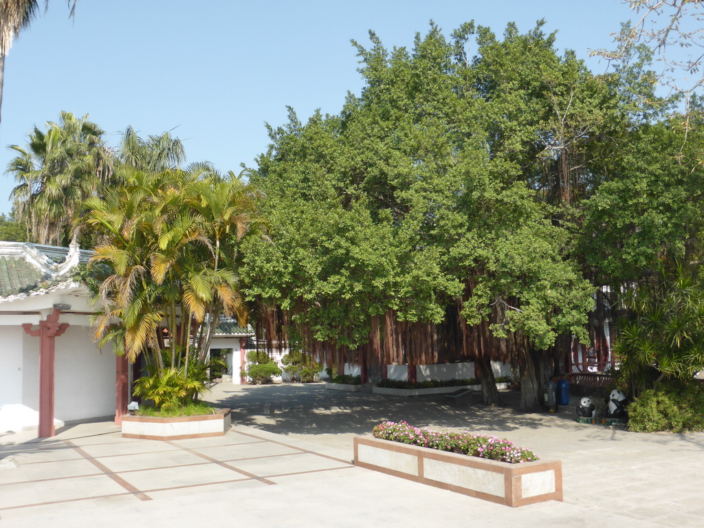 Square on the back side of the Guanfu Museum at Gulangyu Island