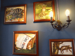 Paintings of cats in the Zhang Sanfeng milktea shop at Longtou Road at Gulangyu Island