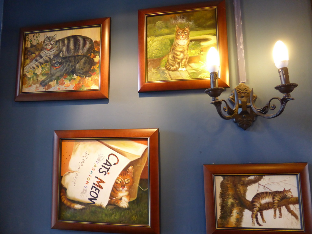 Paintings of cats in the Zhang Sanfeng milktea shop at Longtou Road at Gulangyu Island