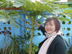 Miaomiao with a fruit tree at Zeng Cuo An Village