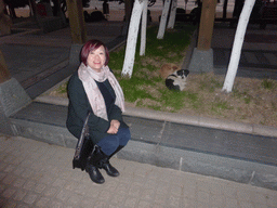 Miaomiao with two dogs at the Xiamen Calligraphy Square, at sunset