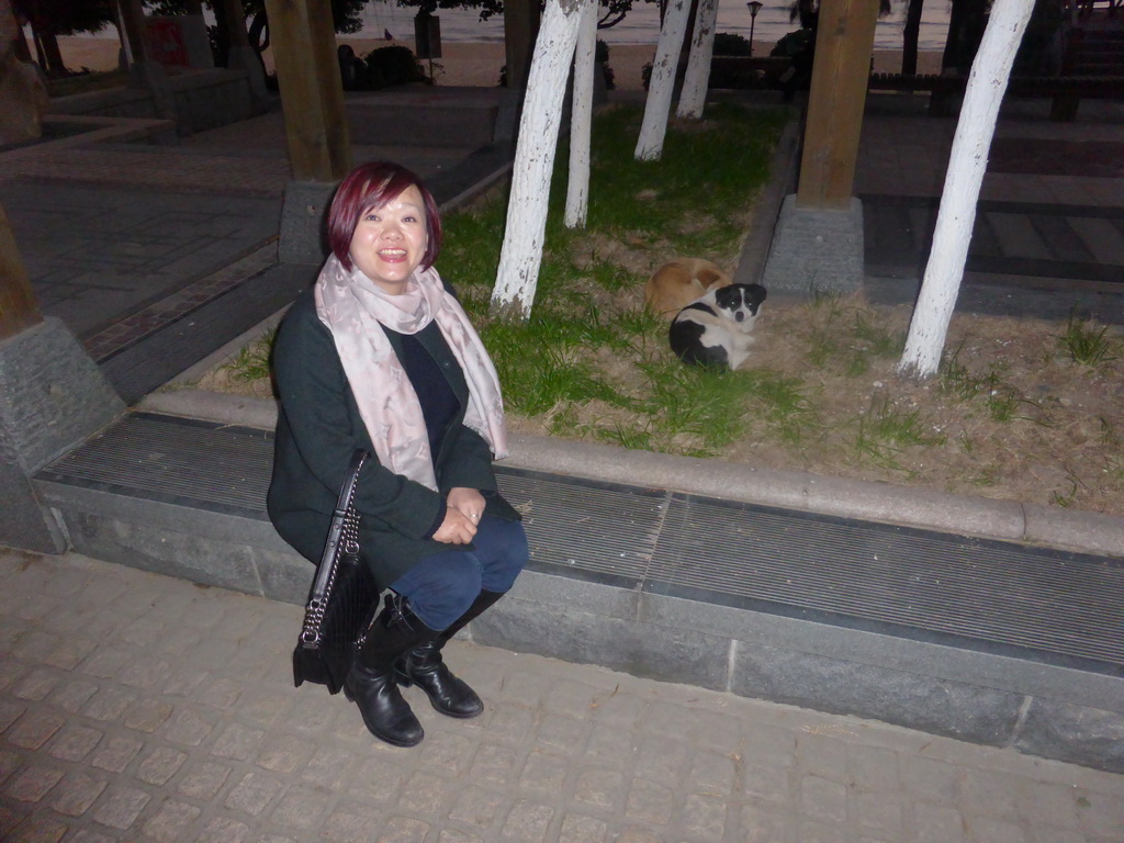 Miaomiao with two dogs at the Xiamen Calligraphy Square, at sunset
