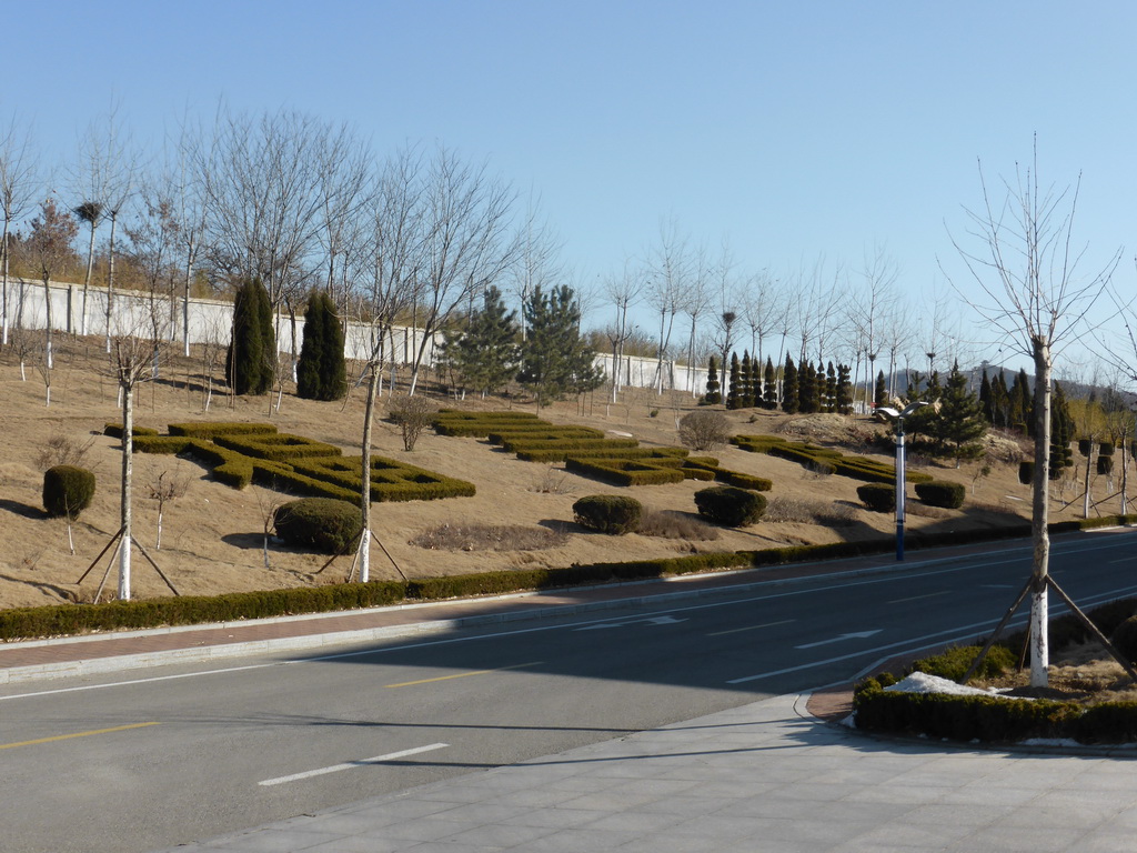 Road and vegetation at the Elder Welfare Services Center