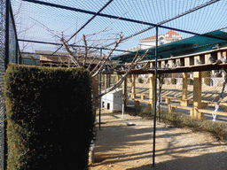 Bird cage at the Elder Welfare Services Center