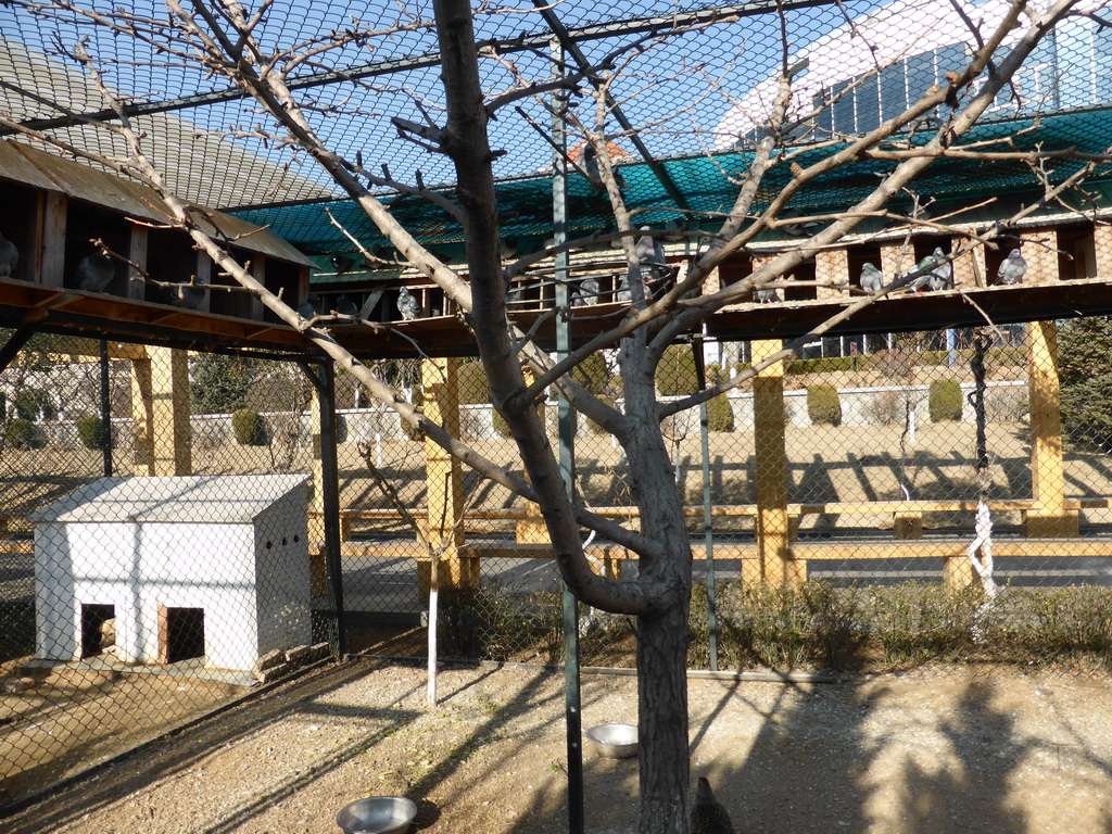 Bird cage at the Elder Welfare Services Center