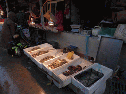Seafood at an open market in the city center