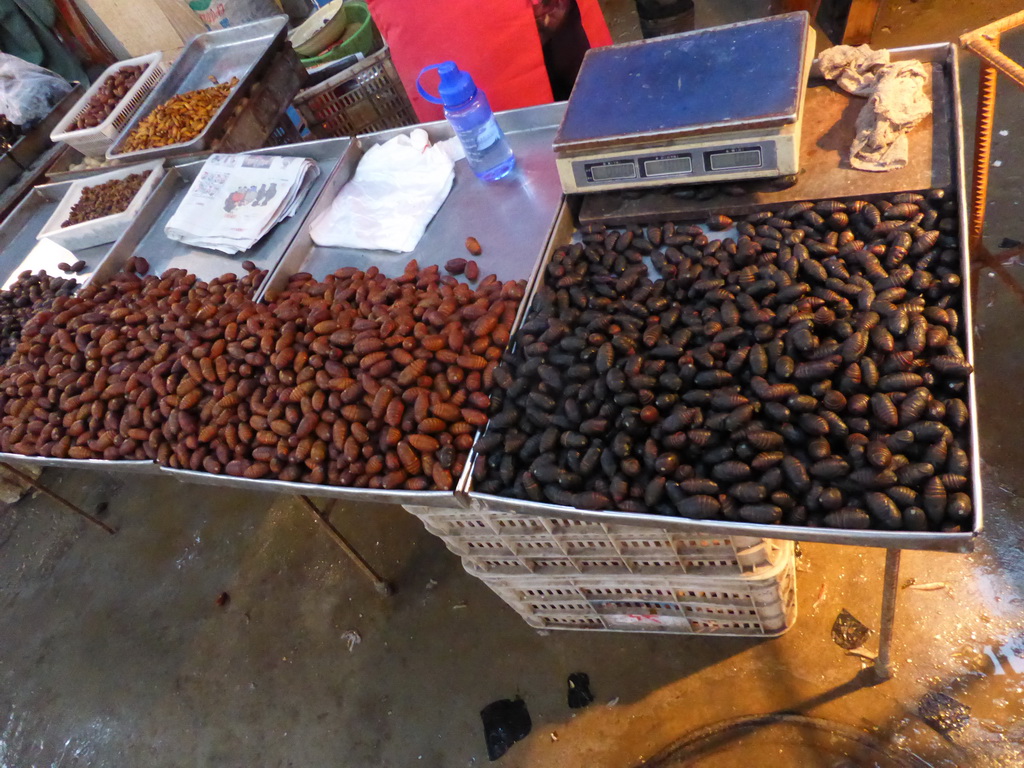 Cicada pupae at an open market in the city center