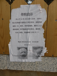 Poster with information on a missing dog, at Zhichu Road