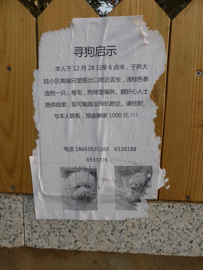 Poster with information on a missing dog, at Zhichu Road