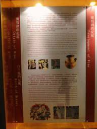 Information on the origin of wine and brandy, at the ChangYu Wine Culture Museum