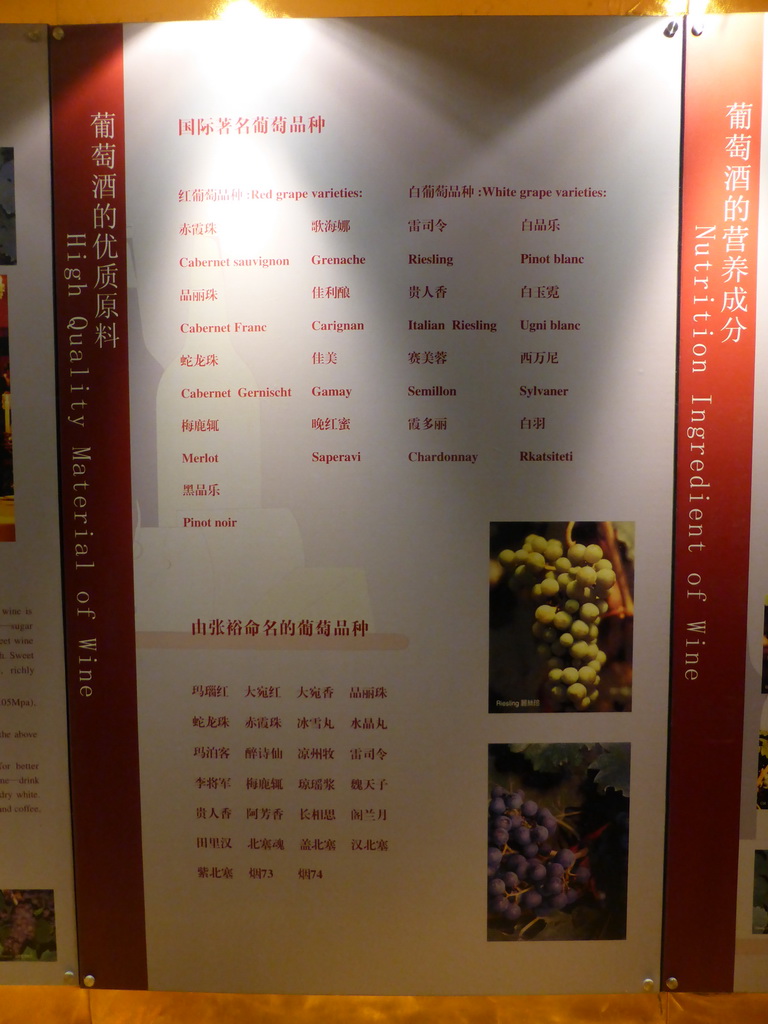 Information on red and white grape varieties, at the ChangYu Wine Culture Museum