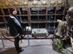 Miaomiao with wine bottles and barrels in the Underground Cellar at the ChangYu Wine Culture Museum