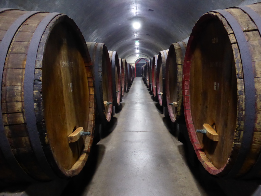 Large wine barrels in the Underground Cellar at the ChangYu Wine Culture Museum