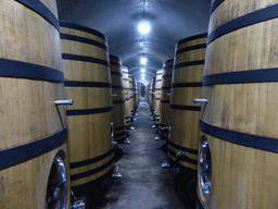 Large wine barrels in the Underground Cellar at the ChangYu Wine Culture Museum