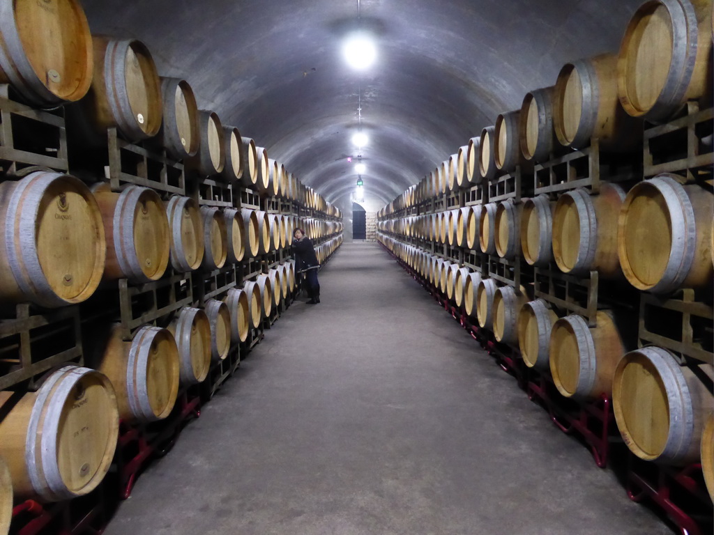 Miaomiao with wine barrels in the Underground Cellar at the ChangYu Wine Culture Museum