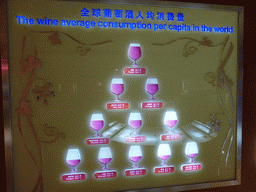 Information on the average wine consumption per capita in the world, at the upper floor of the ChangYu Wine Culture Museum