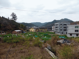 View from the parking place of our lunch restaurant on a village near the Gaobei Tulou Cluster