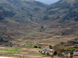 Rice fields nearby the Gaobei Tulou Cluster, viewed from the Yongding Scenic Area viewing point
