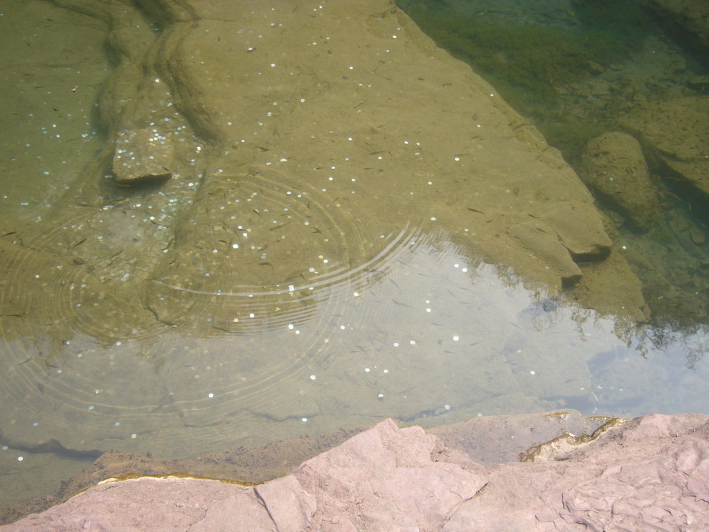 Little fish in the river at the Red Stone Gorge at the Mount Yuntaishan Global Geopark
