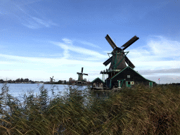 The Het Jonge Schaap, De Zoeker and De Kat windmills at the Zaanse Schans neighbourhood