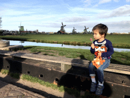 Max at the Schansend street at the Zaanse Schans neighbourhood, with a view on the De Gekroonde Poelenburg, De Kat, Het Jonge Schaap and De Zoeker windmills
