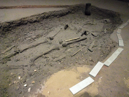Skeleton at a tomb, at the Henan Provincial Museum