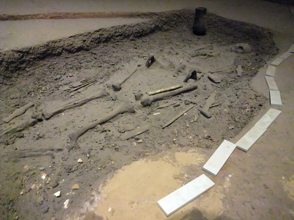 Skeleton at a tomb, at the Henan Provincial Museum