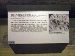 Explanation on the Dragon and Tiger Tomb at Xishuipo Site in Puyang, at the Henan Provincial Museum