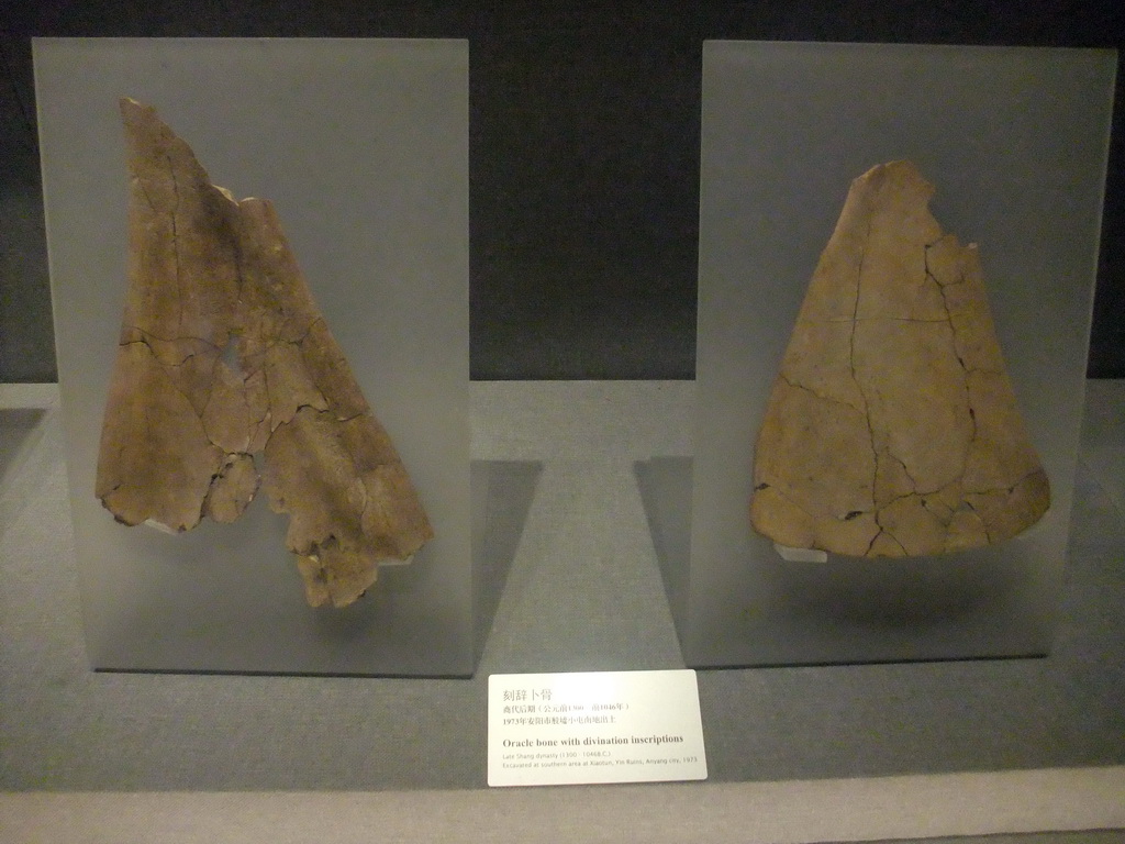 Oracles bones with divination inscriptions, at the Henan Provincial Museum