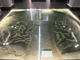 Model of a ritual pit of ox horns in Xiaoshuangqiao site, at the Henan Provincial Museum